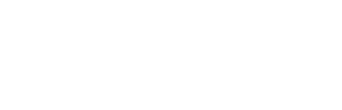 SES